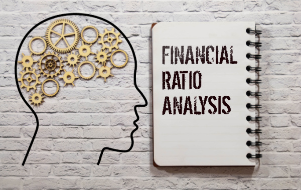 Decoding The Language Of Financial Ratios