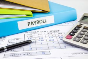 Small Business Payroll Expert